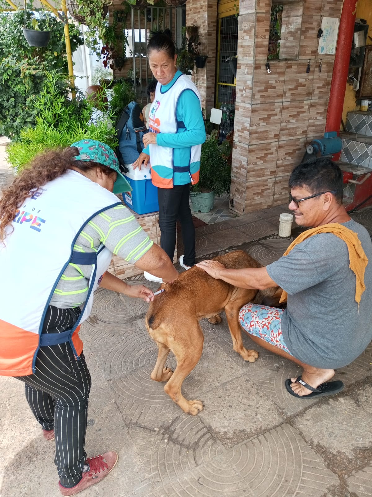 Campanha de Vacinação Antirrábica em Coruripe atinge 67% da meta e segue até o dia 26 de outubro